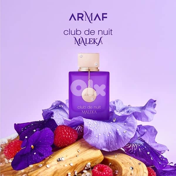 Armaf Club De Nuit Maleka 105 mL 0