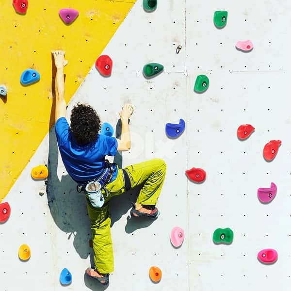 Climbing holds {30 pack} 0