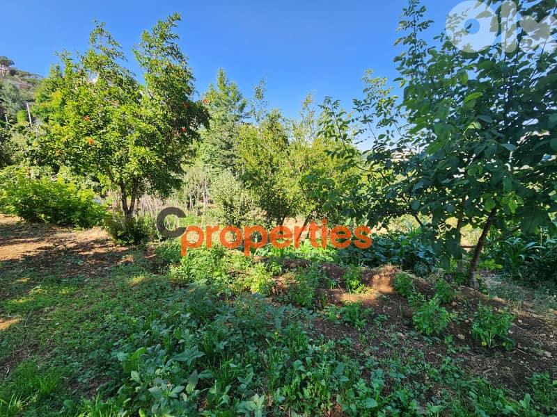 Land with an old stone house for sale in Kfardebian - CPKRH22 3