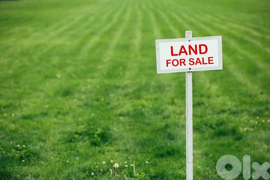 LAND IN BATROUN PRIME ZONE 25/50 (1000SQ) , (BAT-176) 0