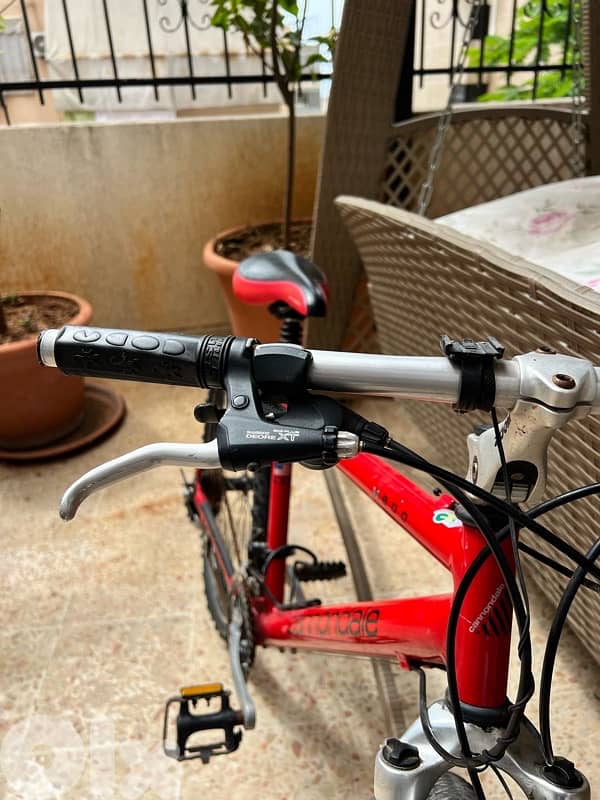 olympic grade bicycle, for more info 81670532 0