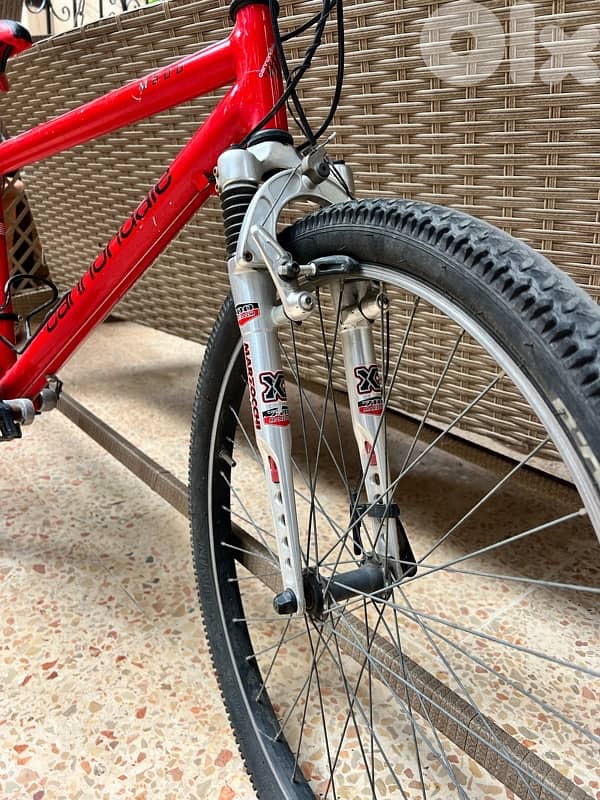 olympic grade bicycle, for more info 81670532 3