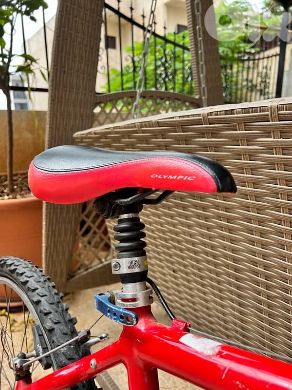 olympic grade bicycle, for more info 81670532 4