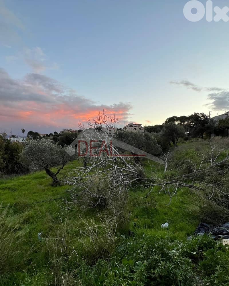 Land for sale in Rachkida Batroun عقار للبيع في رشكيدا بترون 1
