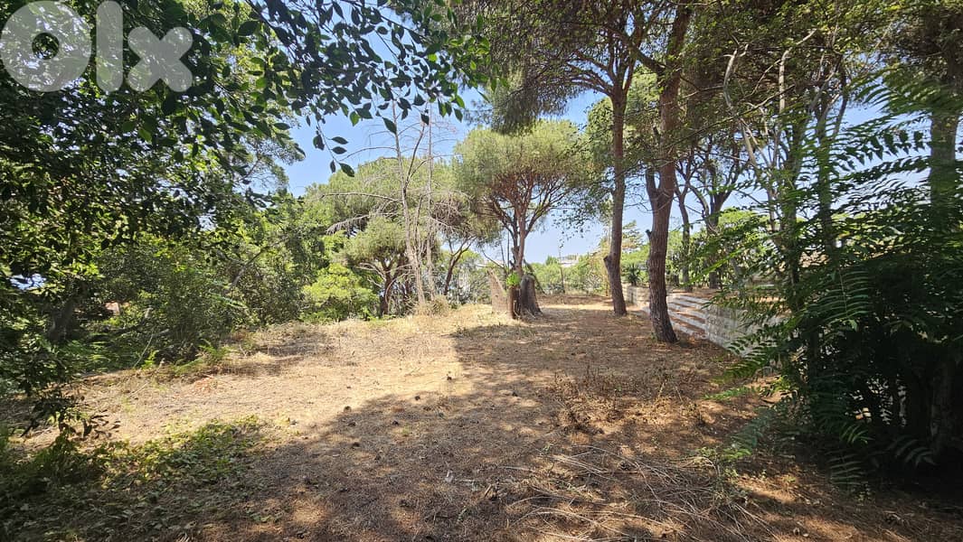 Unique Land for sale Naqqache|Prime أرض مميزة للبيع في النقاش | مميزة 2