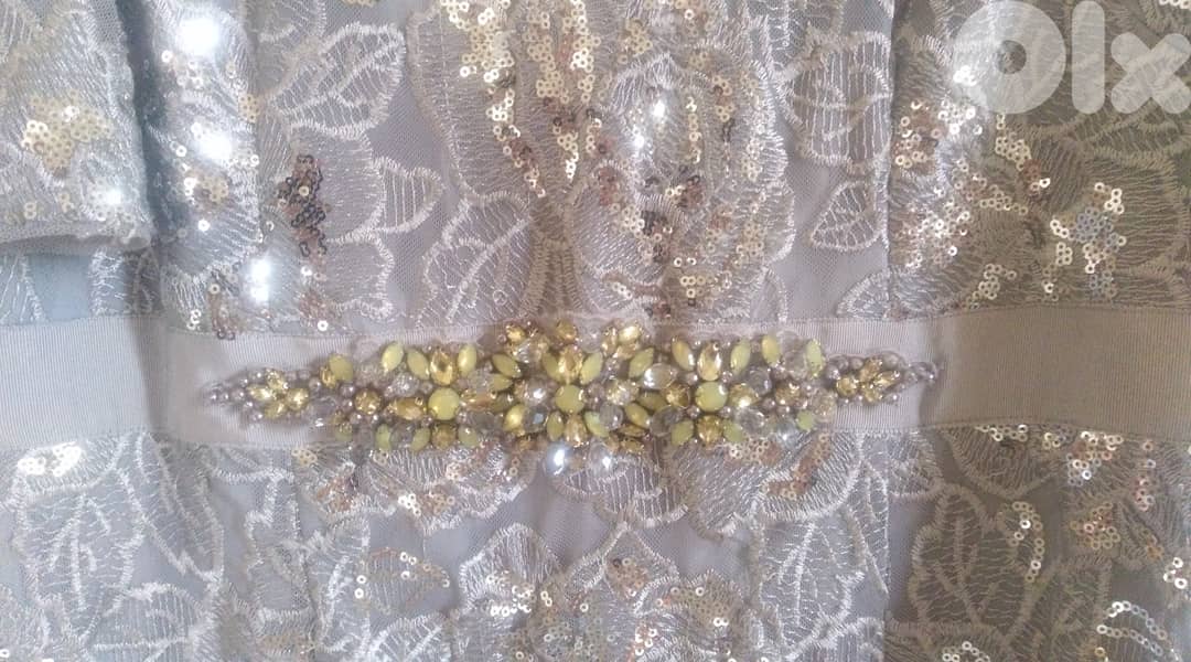 Long wedding dress color silver 2