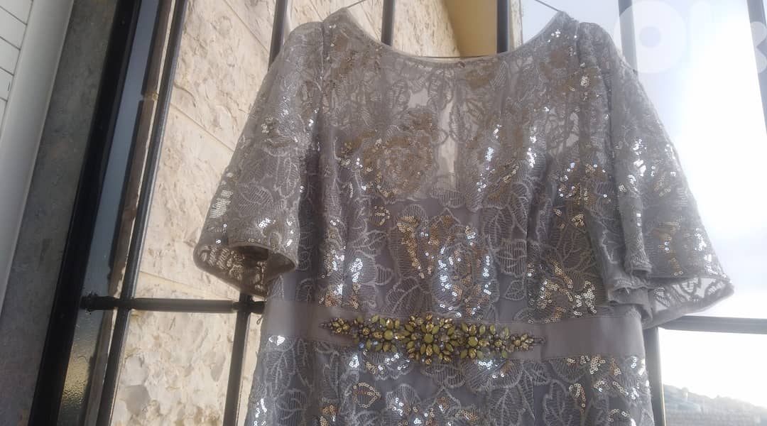 Long wedding dress color silver 3