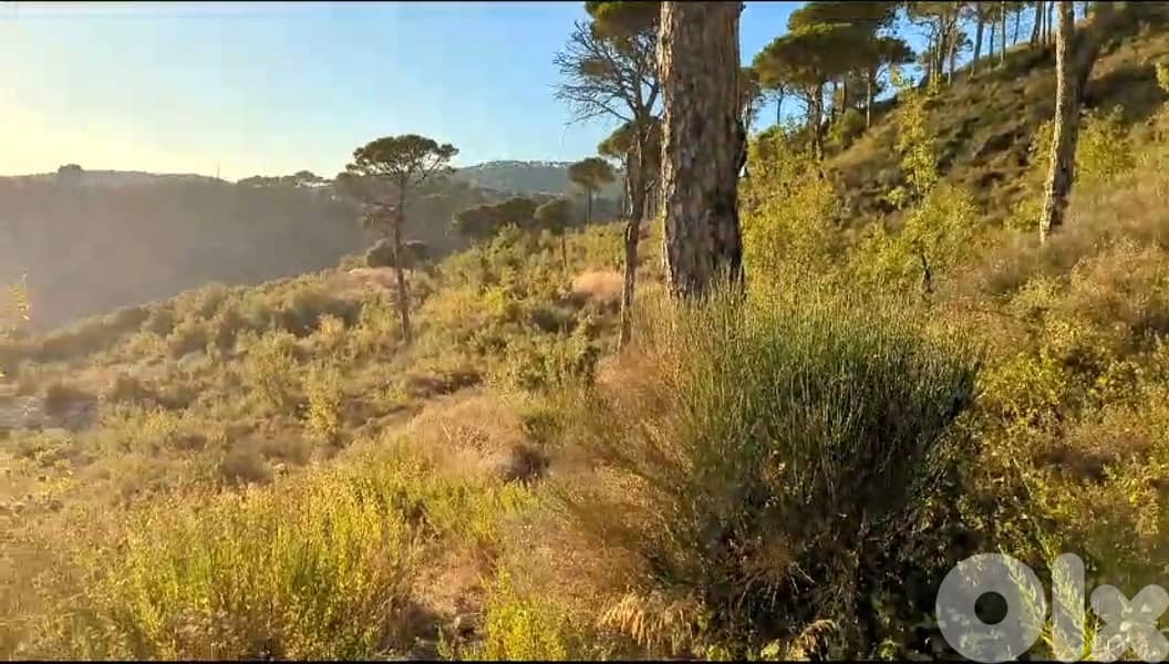 Land for sale in Douar/ Panoramic view 4