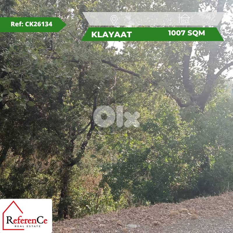 prime piece of land in Klayaat قطعة أرض مميزة في القليعات 0