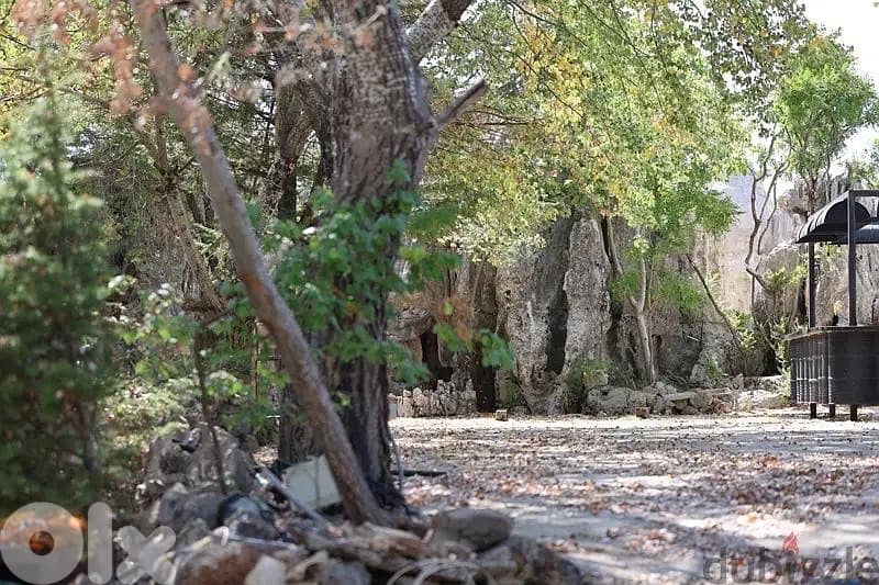 3300m land zone 20/40 Villa+300m Structure Faitroun Prime Kesrouane 9