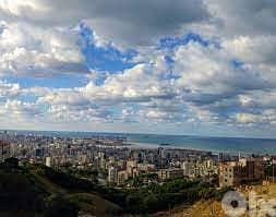 350$/SQ LAND IN AIN SAADEH VILLA ZONING 20/40 3000SQ 0