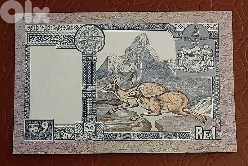 Nepal 1 Rupee 1974 banknote 1