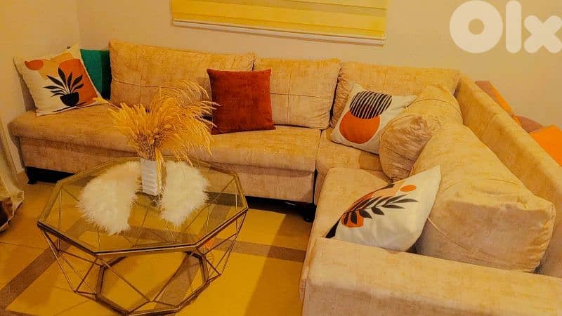 صور برج الشمالي 2