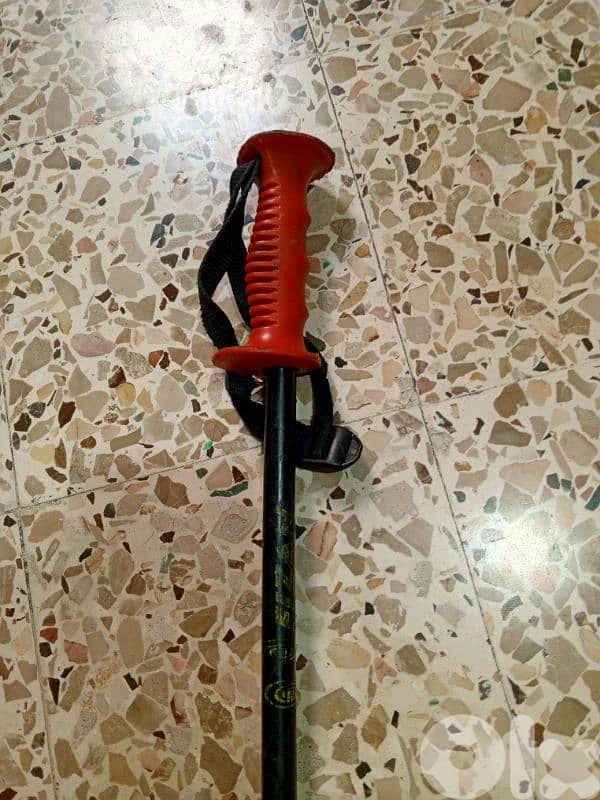 ski poles 0