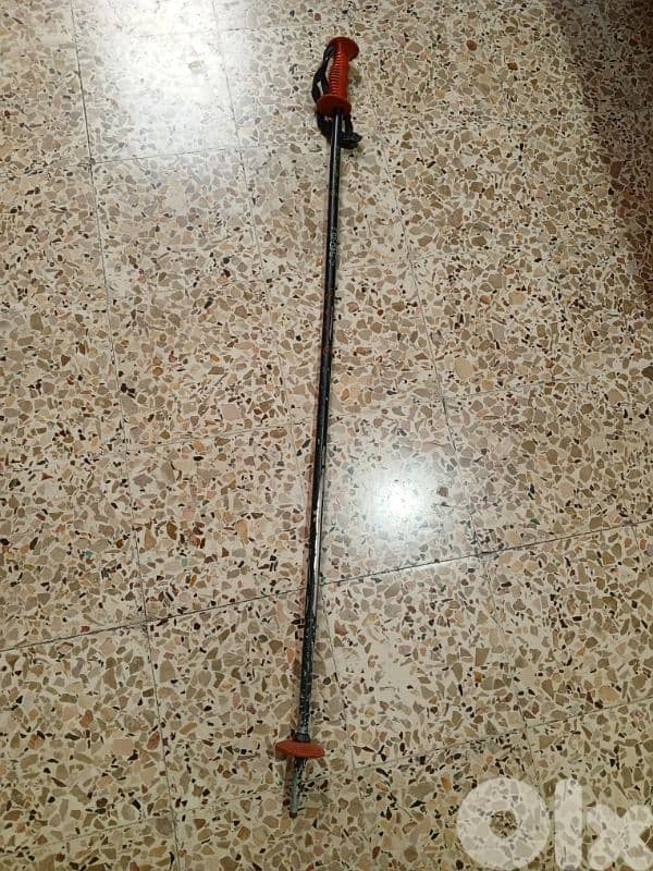 ski poles 3