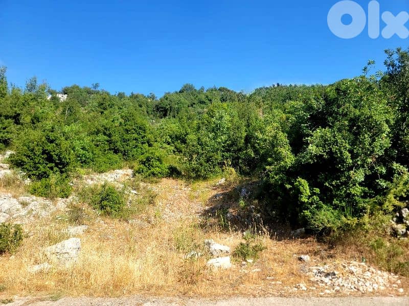 Catchy deal | Land for sale in Aachqout 0