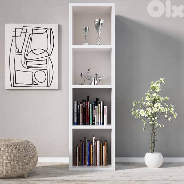 bookcase 4