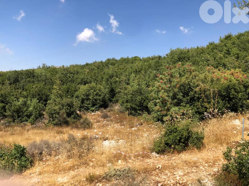 1270m2 land+mountain view 4sale in Tarchich - ارض للبيع في ترشيش 2