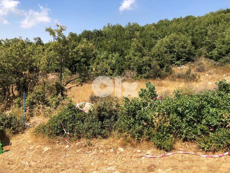 1000m2 land+mountain view 4sale in Tarchich - ارض للبيع في ترشيش 0