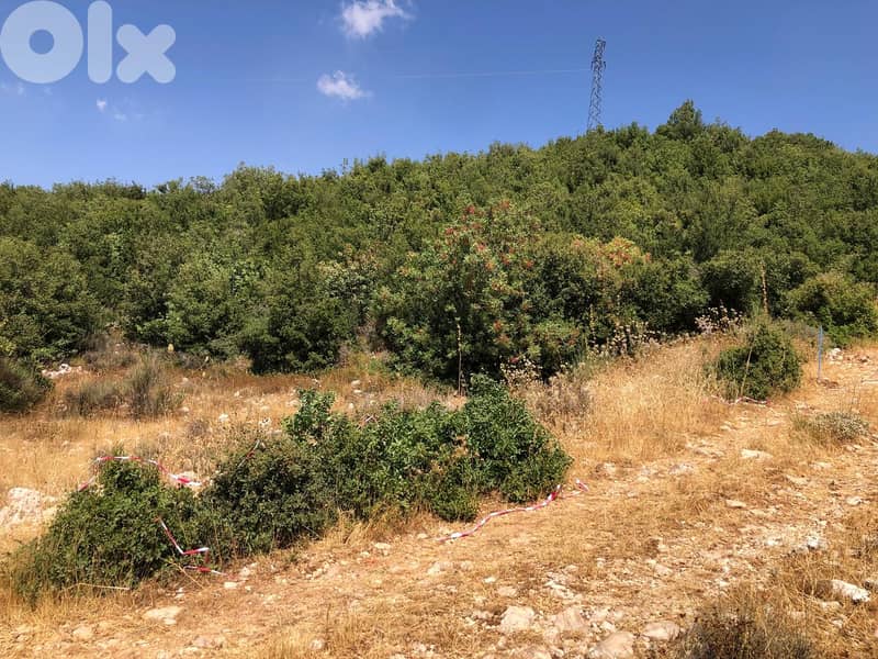 1000m2 land+mountain view 4sale in Tarchich - ارض للبيع في ترشيش 1
