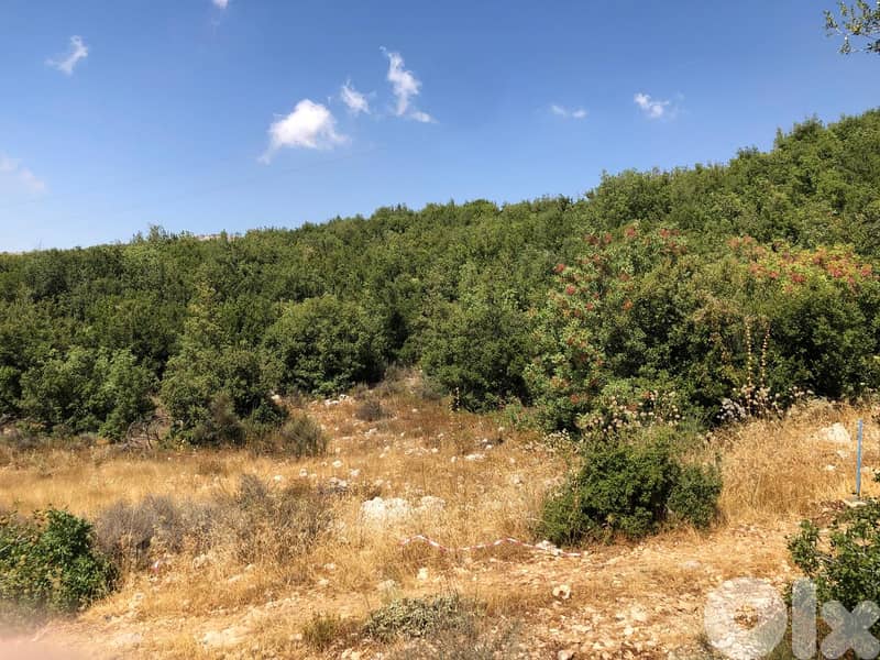 1000m2 land+mountain view 4sale in Tarchich - ارض للبيع في ترشيش 2