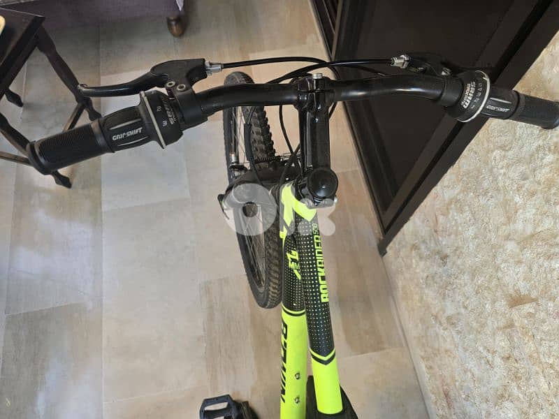 mountain bike 1