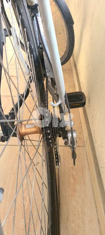 Kalkhoff Agattu City Bike – Shimano 24-Speed (3x8) Alivio/Tourney 3