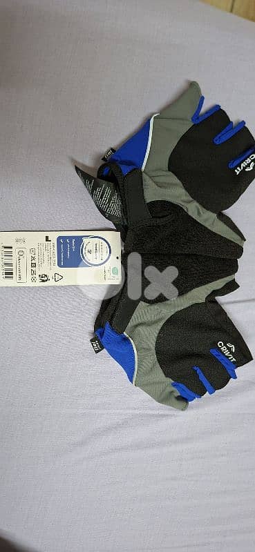 Kalkhoff Agattu City Bike – Shimano 24-Speed (3x8) Alivio/Tourney 8