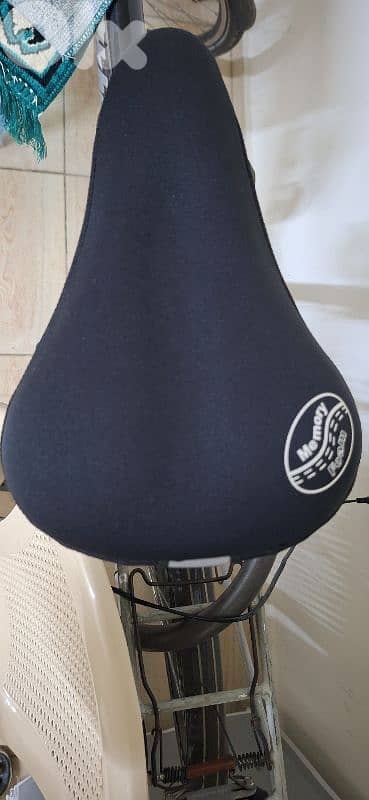 Kalkhoff Agattu City Bike – Shimano 24-Speed (3x8) Alivio/Tourney 9