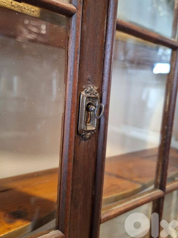 Unique large pharmacy cabinet 2