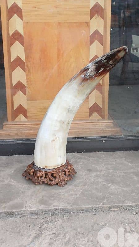 antique 1