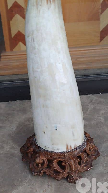 antique 5