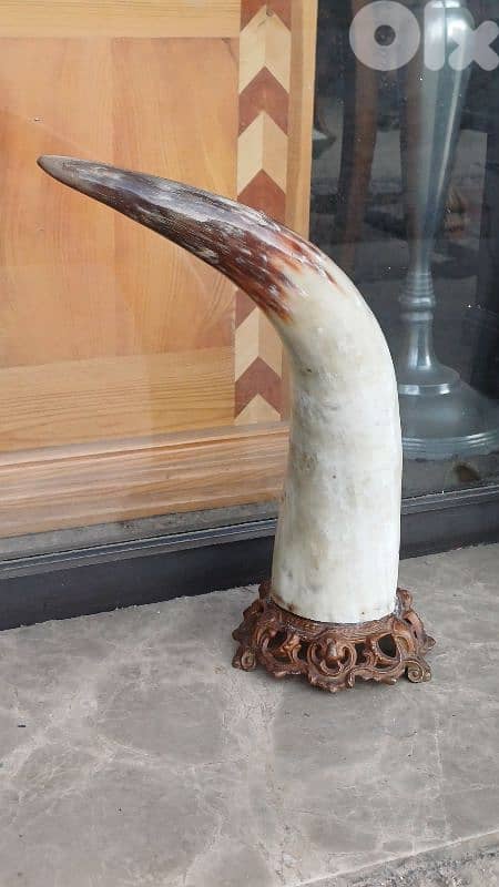 antique 7