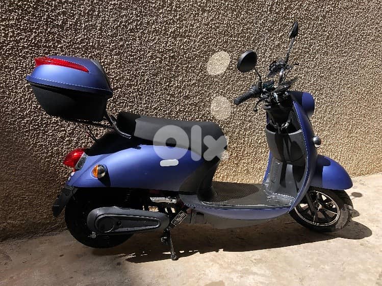 Treecity e-motorbike 1