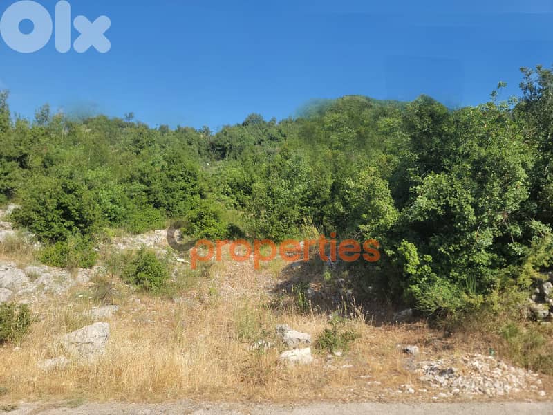 Land For Sale in Aachqout - CPKRH31 1