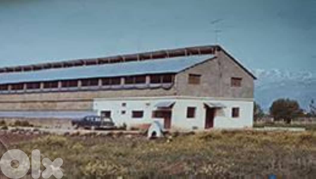 Land with Farm prime location | Zahle Moalaka  عقارمزرعة  دواجن معلّقة 0
