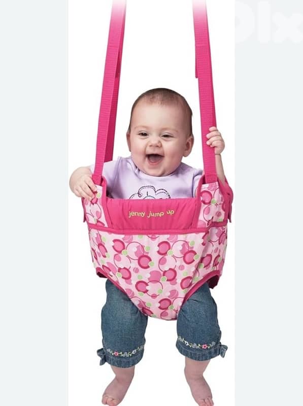evenflo door swing for babies 0