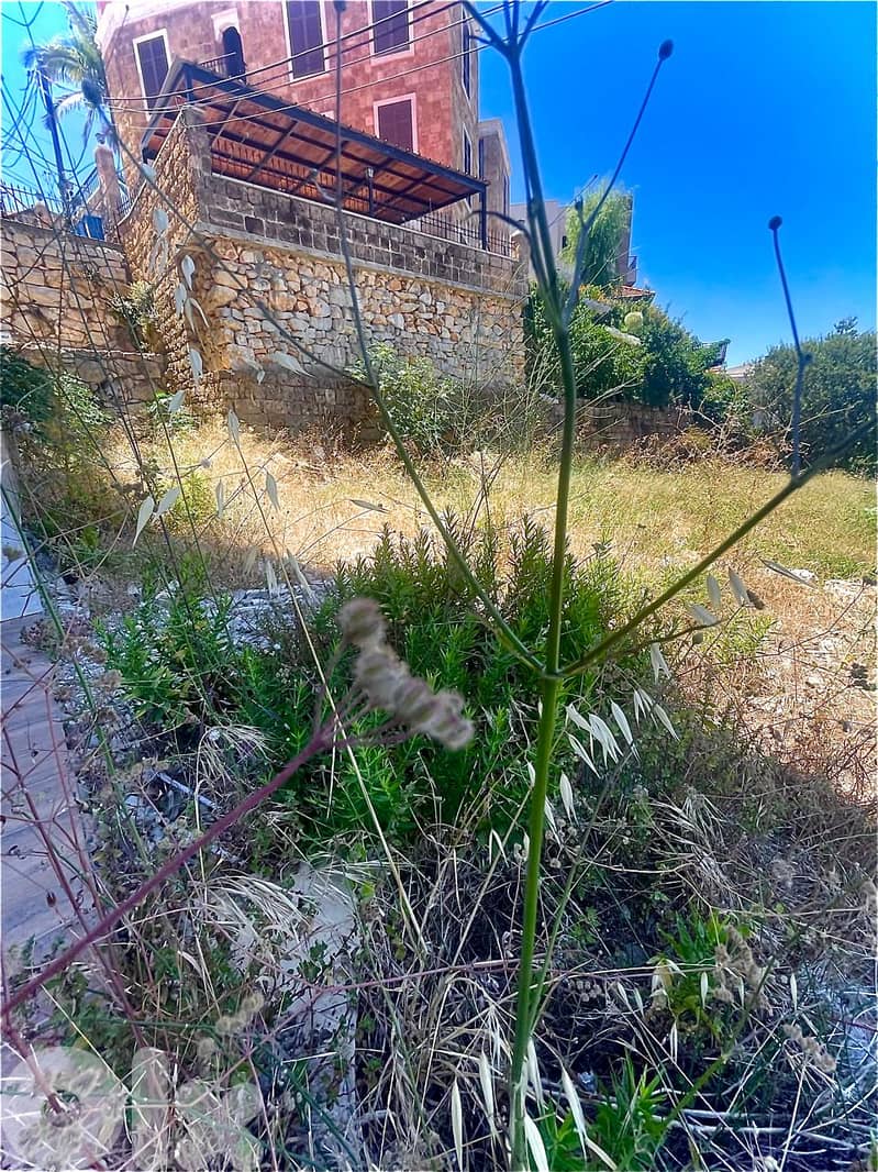 RWB110MK - Apartment for sale in Hboub Jbeil 0