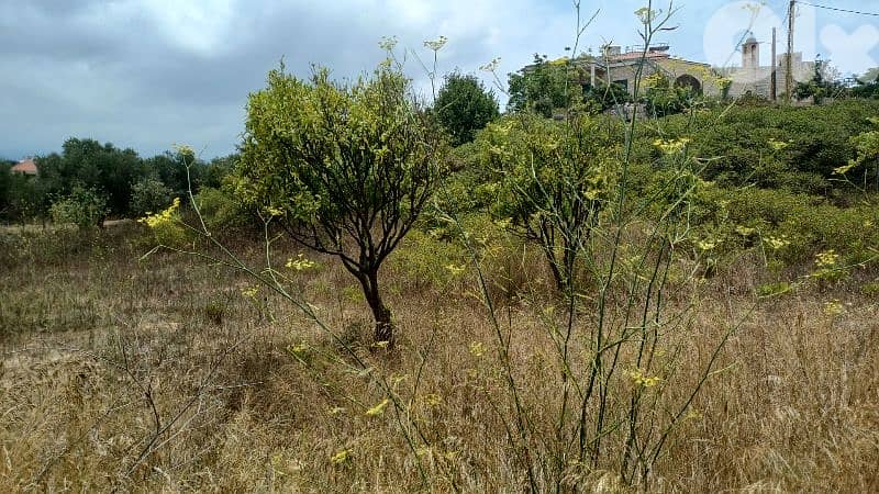 lands for sale in Bekhaaz ارض للبيع بخعاز 1