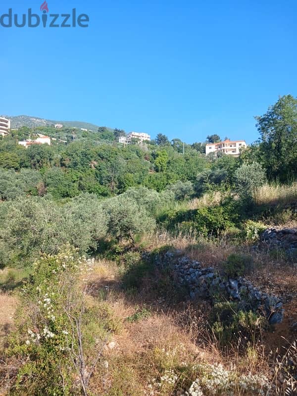 Land for sale in Jbaa | أرض للبيع في جباع 1