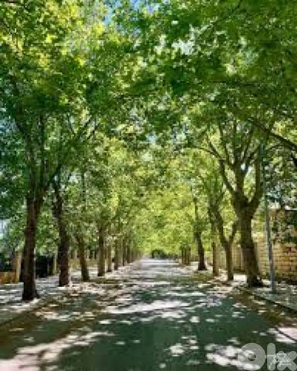 Beautiful Villa with Stunning Views for Sale in Sawfar I Ref : MO 0