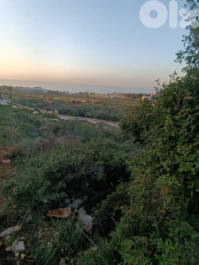 Land for sale in Ras Maska - أرض للبيع في رأس مسقا