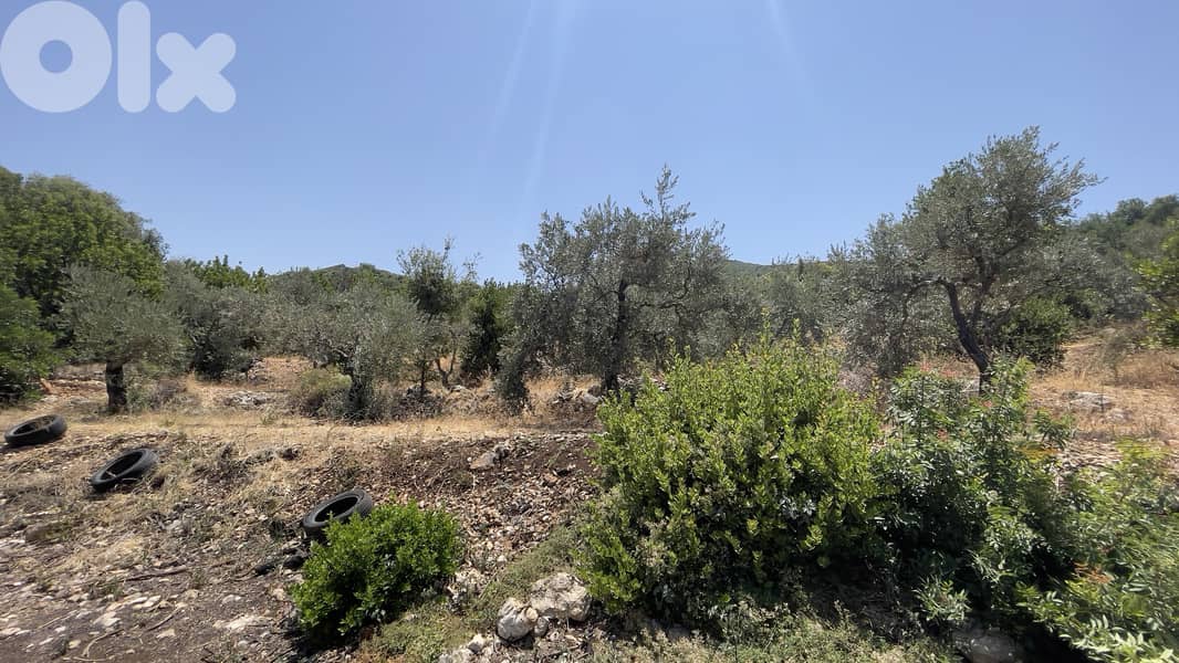 RWB268CA - Land for sale in Fghal Jbeil 0