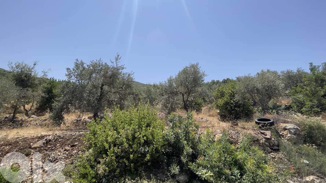 RWB268CA - Land for sale in Fghal Jbeil 1