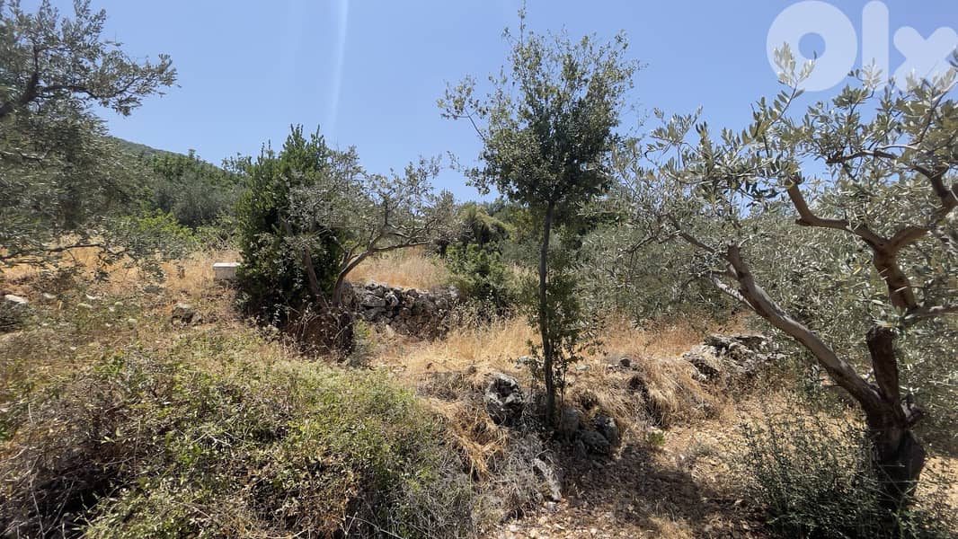 RWB268CA - Land for sale in Fghal Jbeil 3