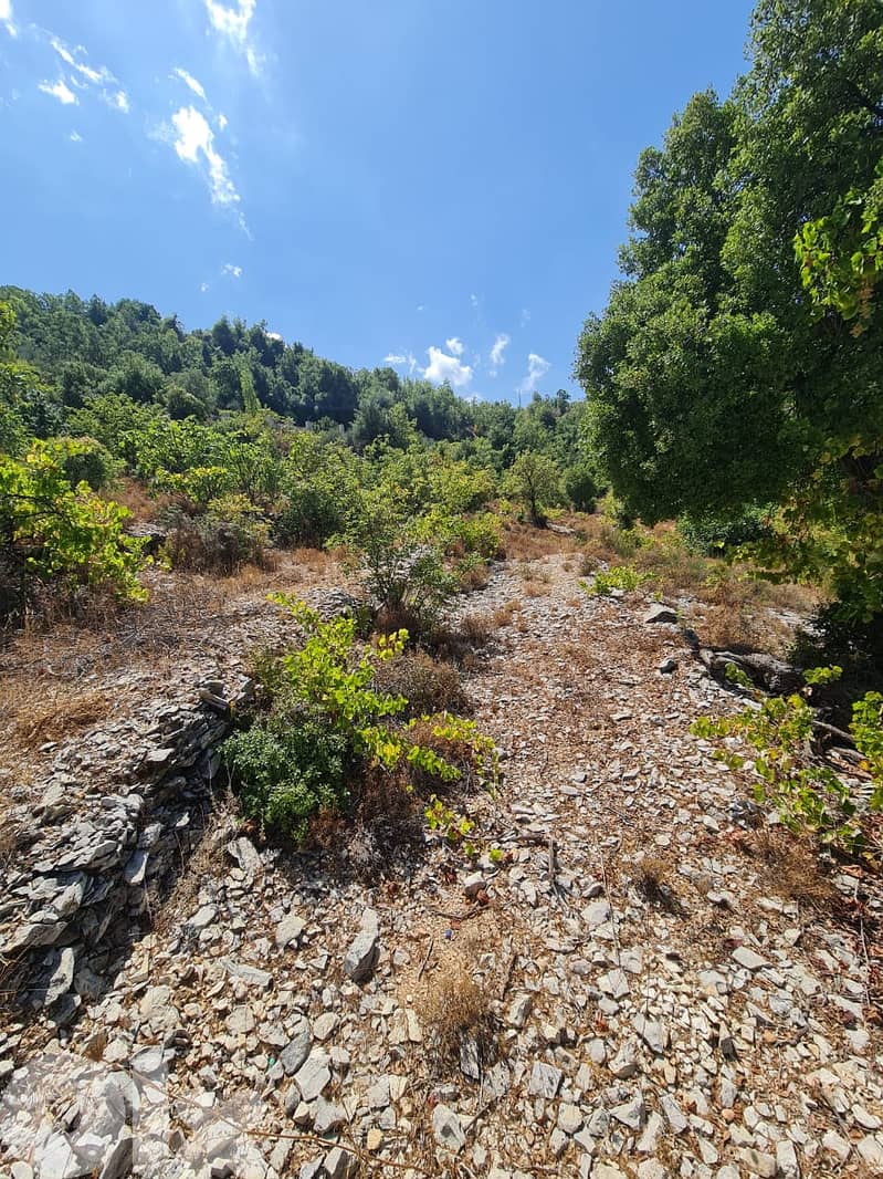 RWB269CA - Land for sale in Lehfed Jbeil 1