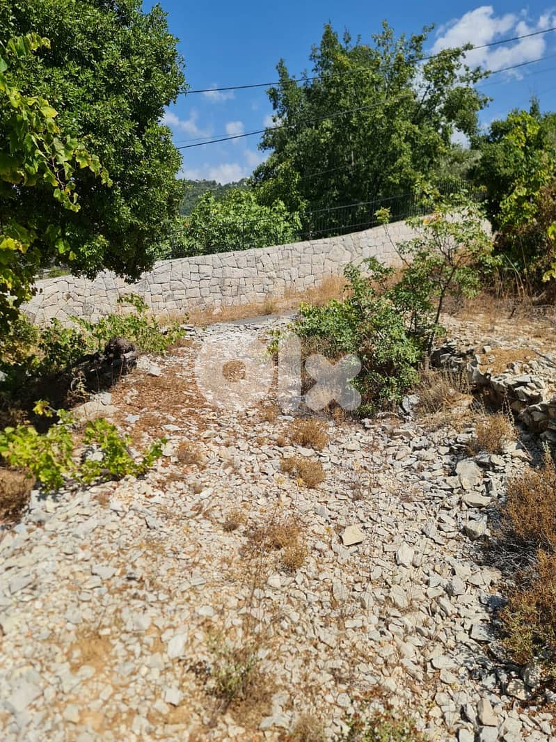 RWB269CA - Land for sale in Lehfed Jbeil 2