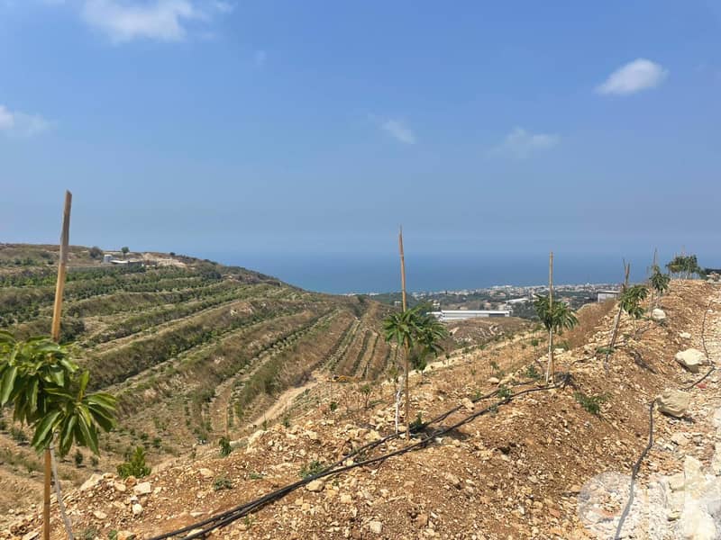 RWB173PK - Land for sale in Edde Jbeil 0