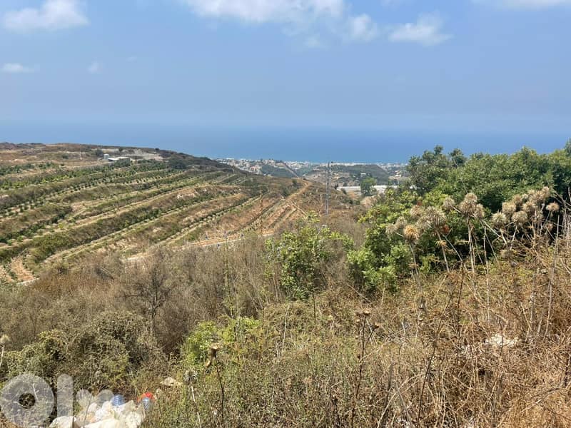 RWB173PK - Land for sale in Edde Jbeil 2