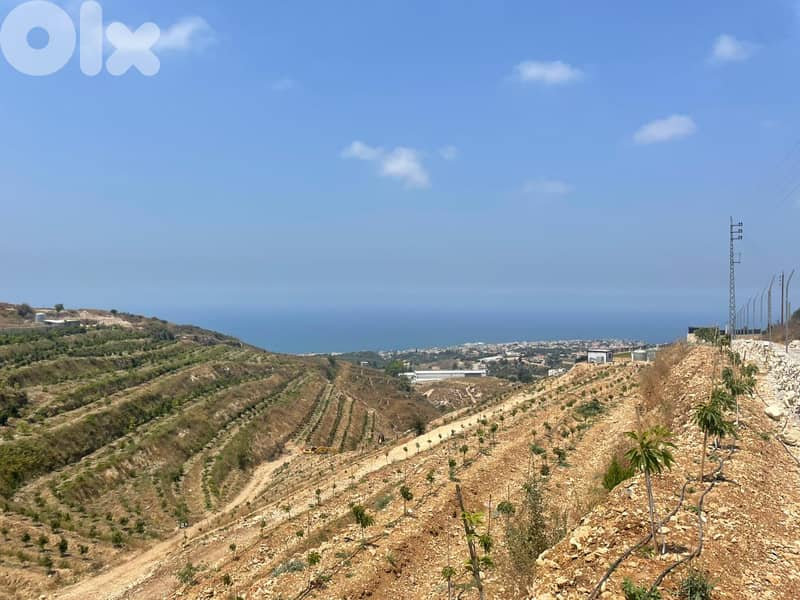 RWB173PK - Land for sale in Edde Jbeil 3